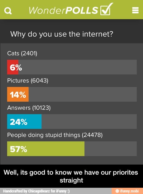 Why do you use the internet?
Cats (2401)
Pictures (6043)
pr
People doing stupid things (24478)
Well, its good to know we have our priorites
straight - Well, its good to know we have our priorites straight