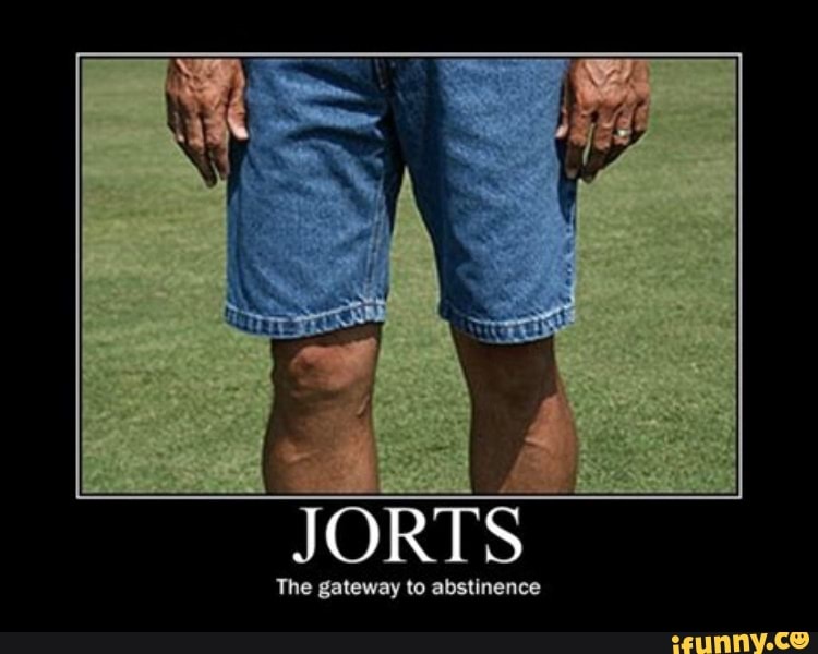 Funny Jorts Meme