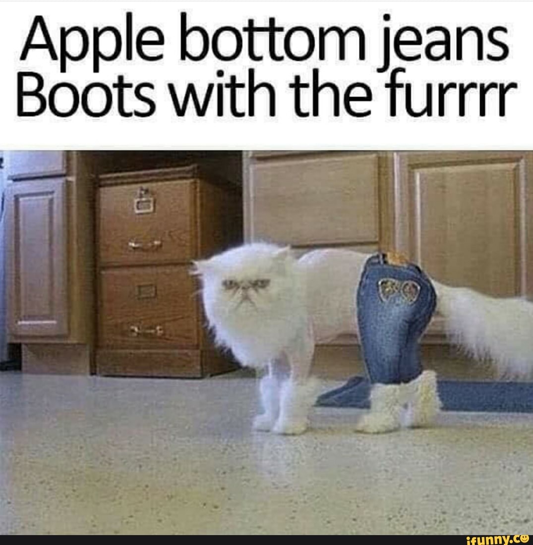 Apple bottom jeans Boots with the furrrr - iFunny