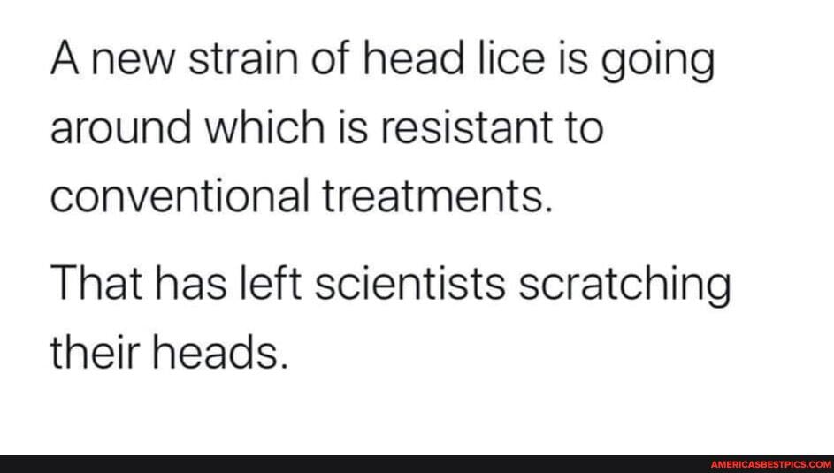 A new strain of head lice is going around which is resistant to conventional treatments.
That has left scientists scratching their heads.