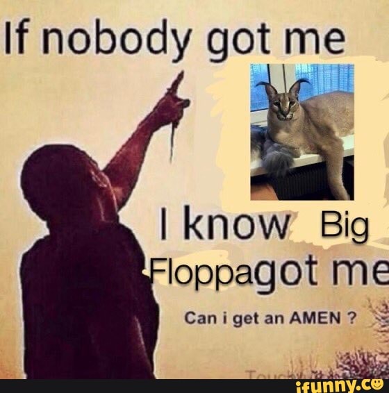 If nobody got me
know Big loppagot me
Can get an AMEN?
aa da