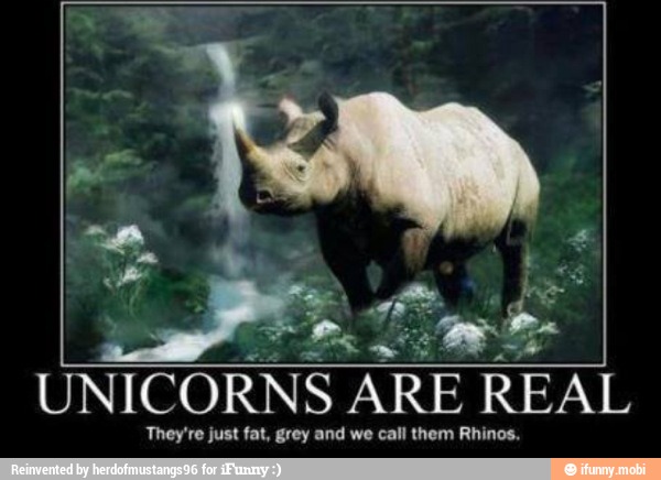 UNICORNS I ARE REAL