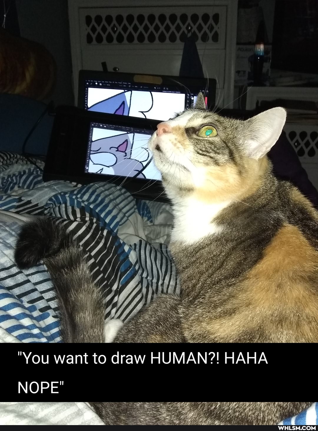 "You want to draw HUMAN?! HAHA
NOPE"