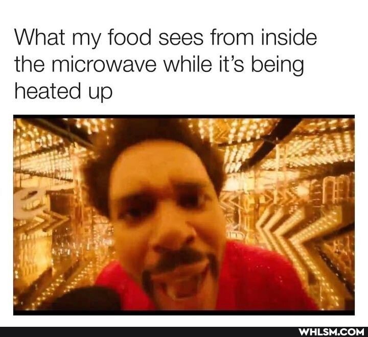 What my food sees from inside the microwave while it's being heated up