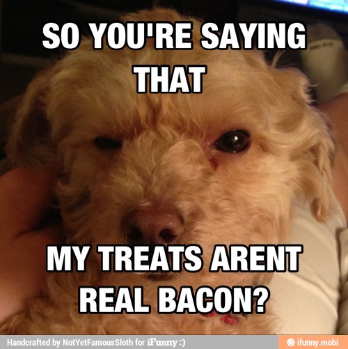 SO YOU'RE
SAYING
