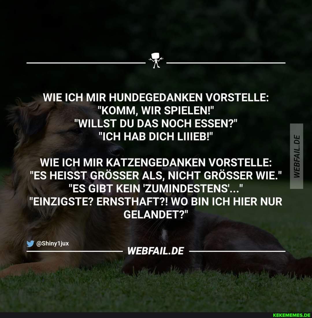 WARUM HÄNGEN BEI ZAHNÄRZTEN IMMER ZÄHNE IM FENSTER? BEI