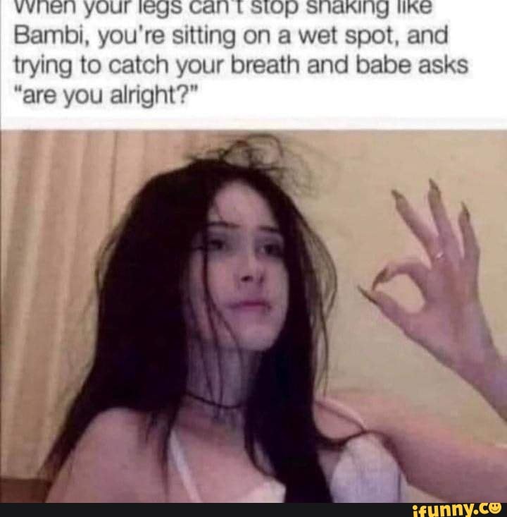 sharking-memes-best-collection-of-funny-sharking-pictures-on-ifunny