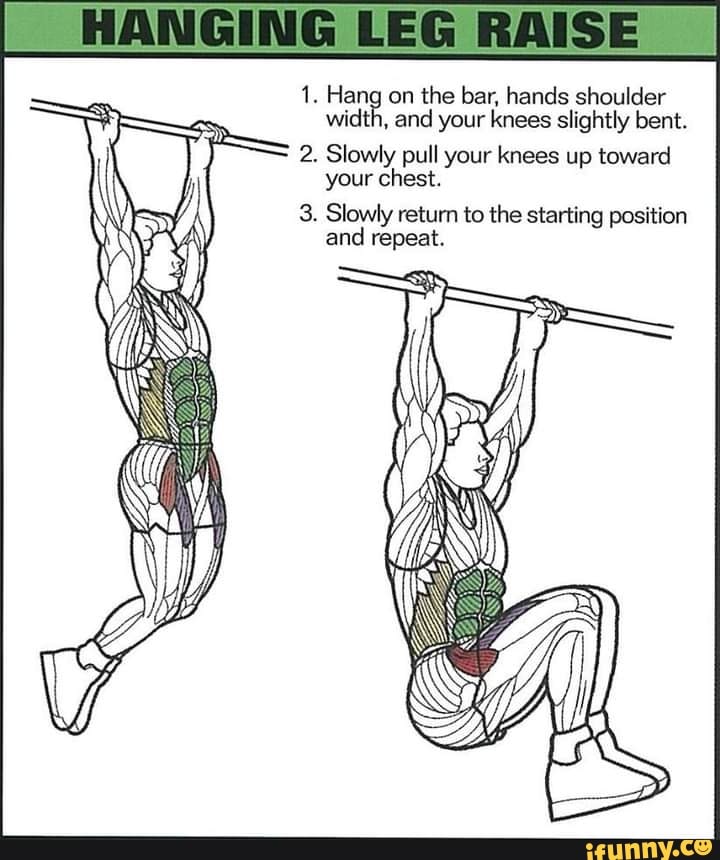 HANGINGIREGIRAISE 1. Hang on the bar, hands shoulder width, and your