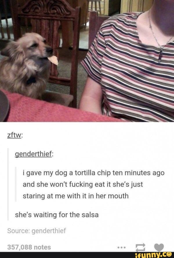 zftw:
genderthief:
i gave my dog a tortilla chip ten minutes ago and she won't fucking eat it she's just staring at me with it in her mouth
she's waiting for the salsa
Source: genderthlef
357,088 notes
