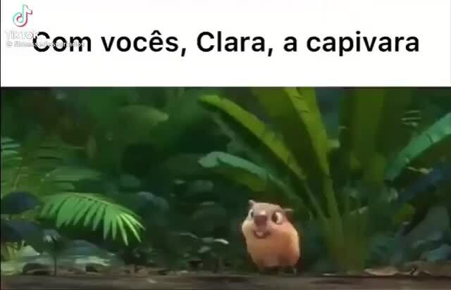 Com vocês, Clara, a capivara - iFunny Brazil