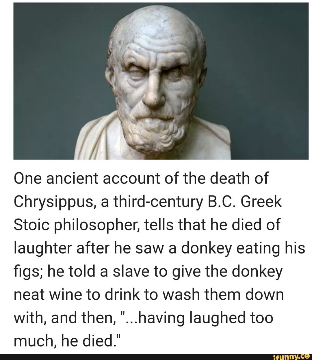 Chrysippus, a thirdcentury B.C. Greek Stoic philosopher, tells that he