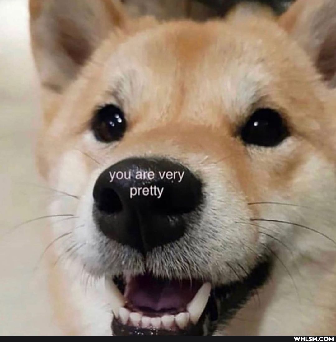 you are very
pretty