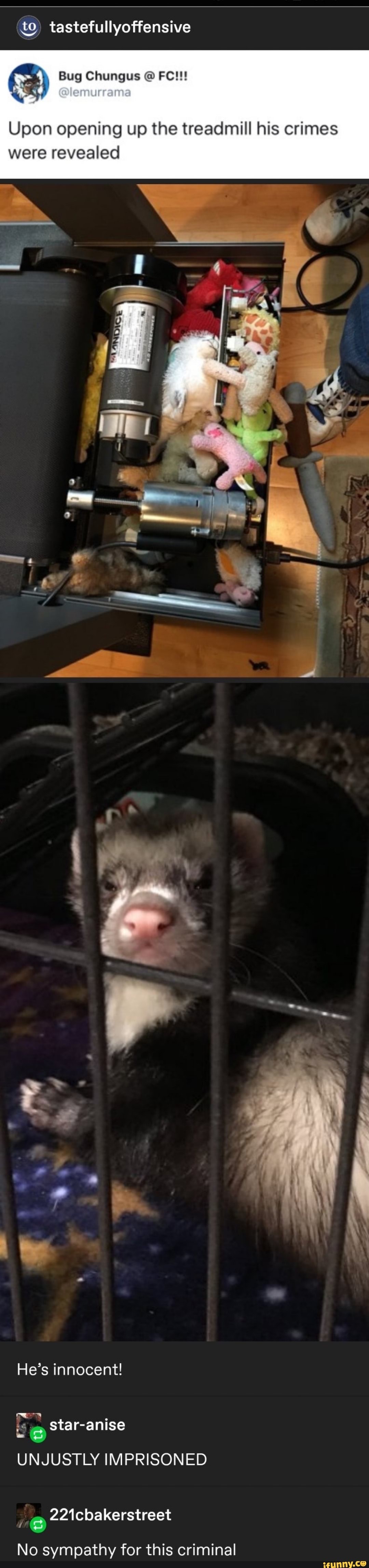 to tastefullyoffensive
(3) Bug Chungus @lemurrama @ FC!!!
Upon opening up the treadmill his crimes were revealed
He's innocent!
ar-anise
UNJUSTLY IMPRISONED
No sympathy for this criminal