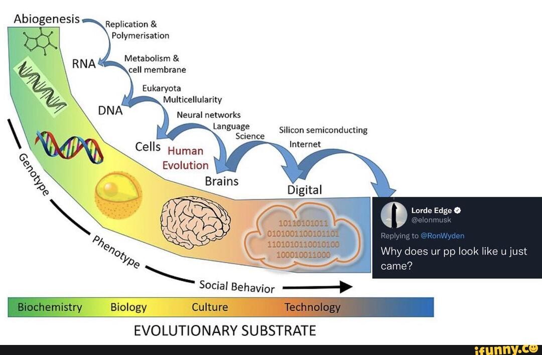 Replication & Abiogenesis Polymerisation Metabolism & Cell Membrane ...