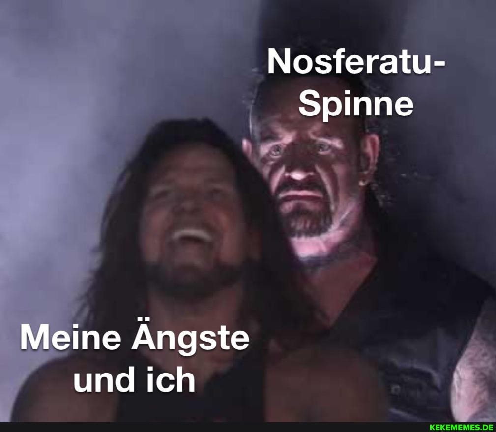 _Nosferatu- Spinne