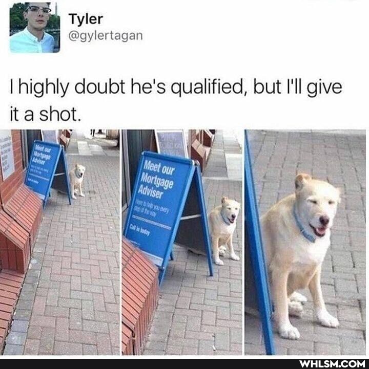 Tyler
I highly doubt he's qualified, but I'll give ita shot.
Meet