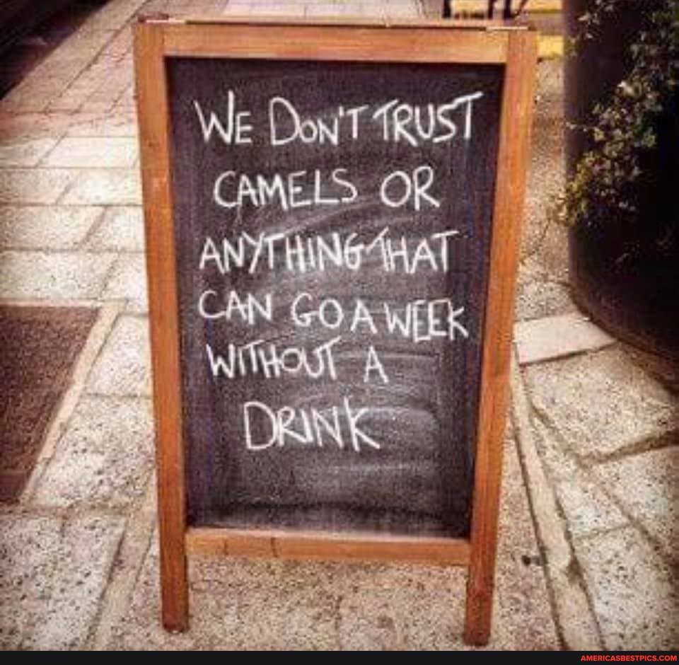 We Don T
CAN