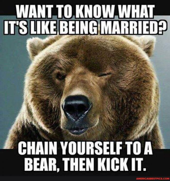 WANT TO KNOW WHAT IT'S LIKE BEING MARRIED?
CHAIN YOURSELF TO BEAR. THEN KICK IT.