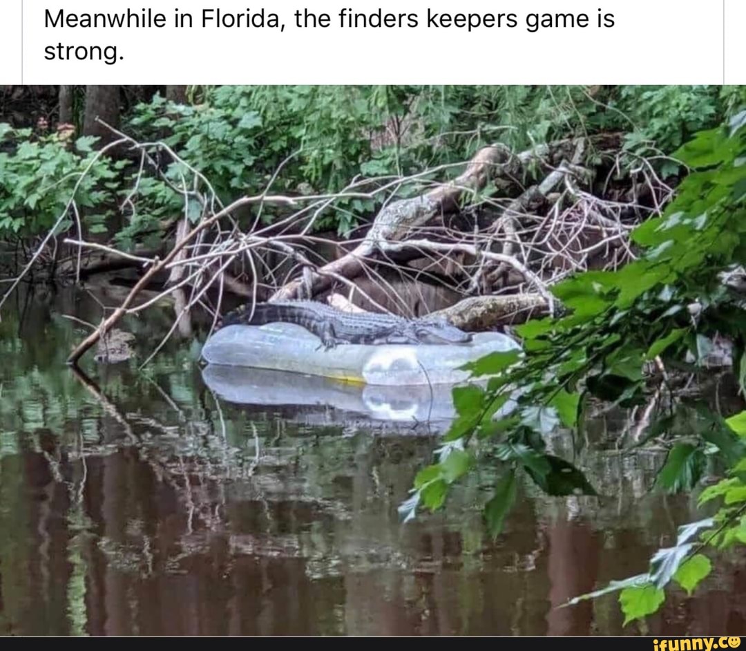 Meanwhile in Florida, the finders keepers game is strong.