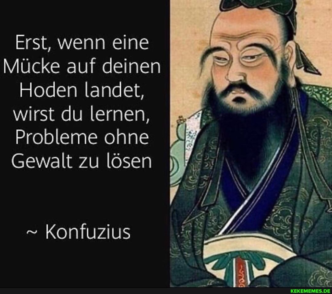 Erst, wenn eine
Mücke auf deinen
Hoden landet, wirst du lernen,
Probleme ohne
Gewalt zu lösen
" Konfuzius