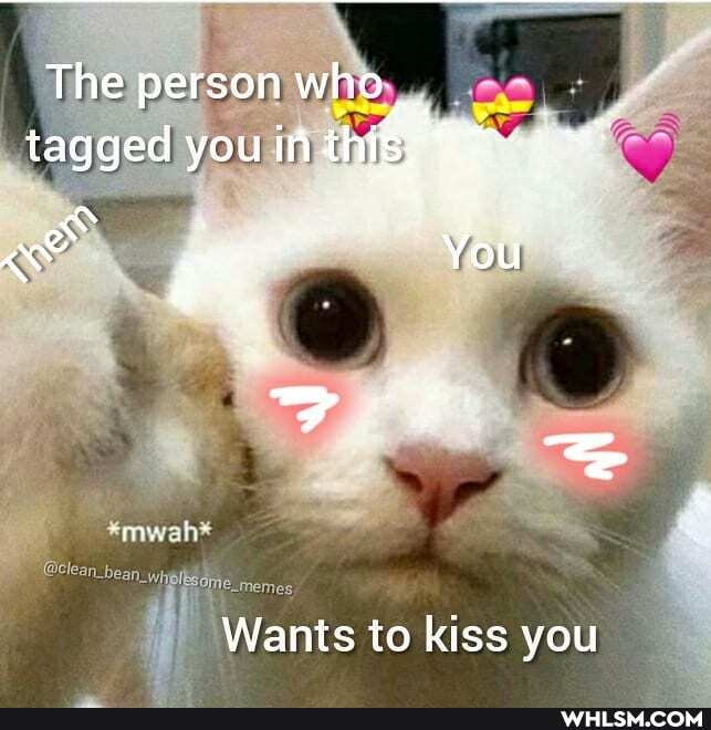 The person who _ tagged you in this
You
Wants to kiss you