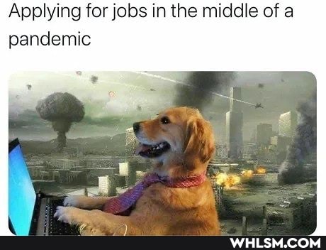 Applying for jobs in the middle of pandemic