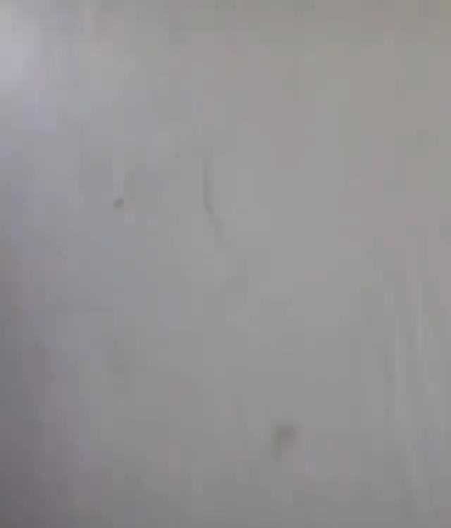 What Are You Doing Step Ladder