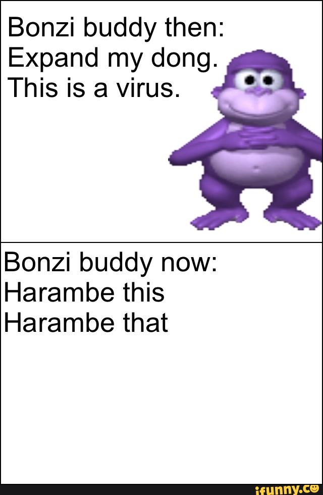 why is bonzi buddy a virus