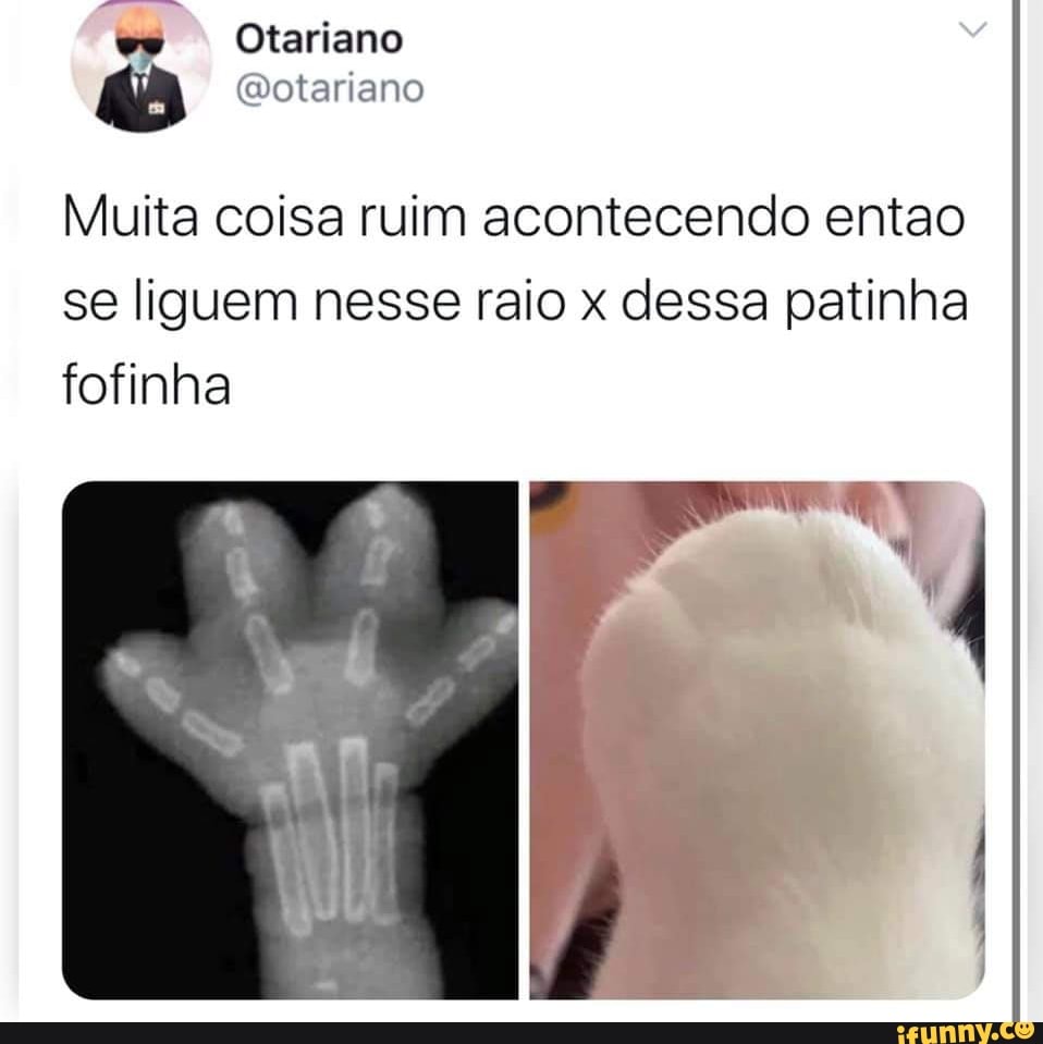 Otariano
és ("votariano
Muita coisa ruim acontecendo entao se liguem nesse raio x dessa patinha fofinha