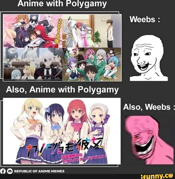 Anime with Polygamy Also, Anime with Polygamy OF ANIME MEMES Also ...