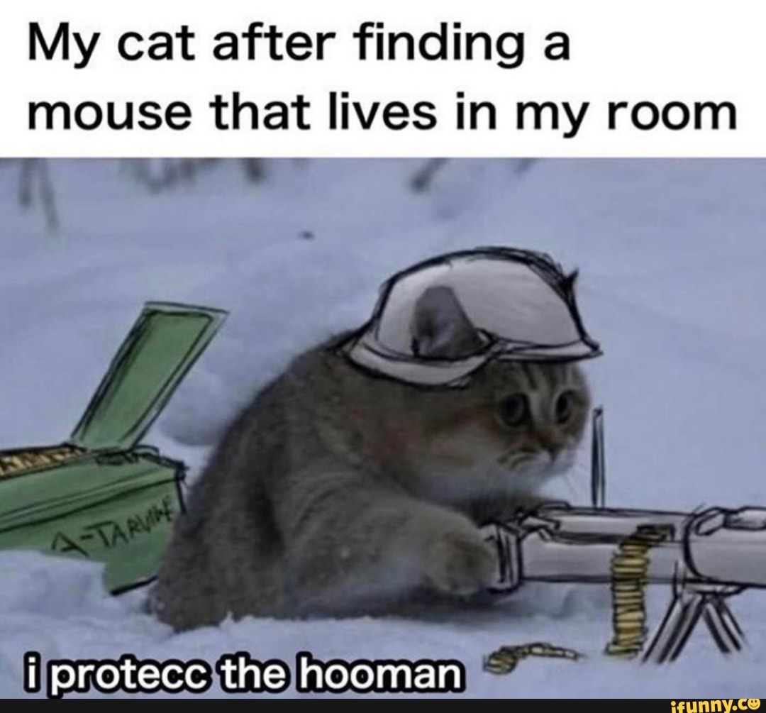 My cat after finding a mouse that lives in my room protecc the hooman ...