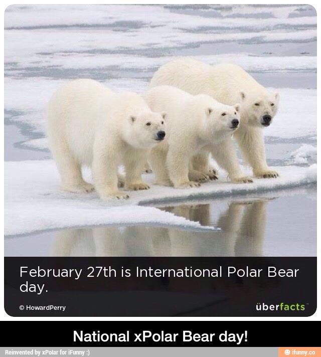 February 27th is International Polar Bear day. National xPoIar Bear day