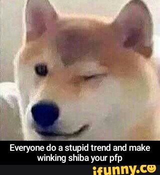 Everyone Do A Stupid Trend And Make Winking Shiba Your Pfp