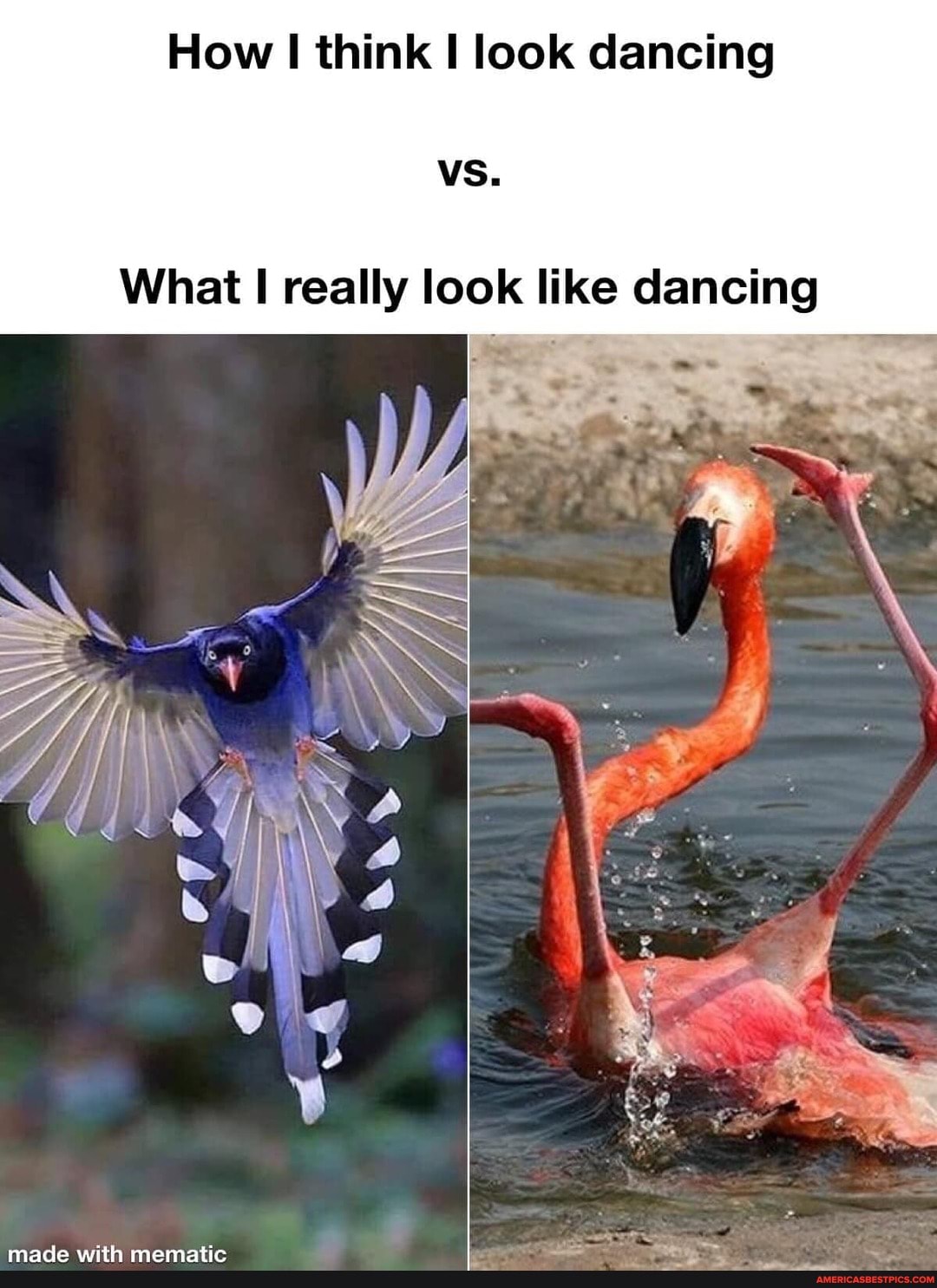 How I think look dancing
vs.
What really look like dancing