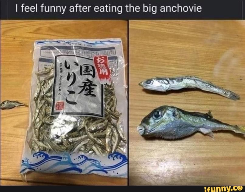 i-feel-funny-after-eating-the-big-anchovie-ifunny