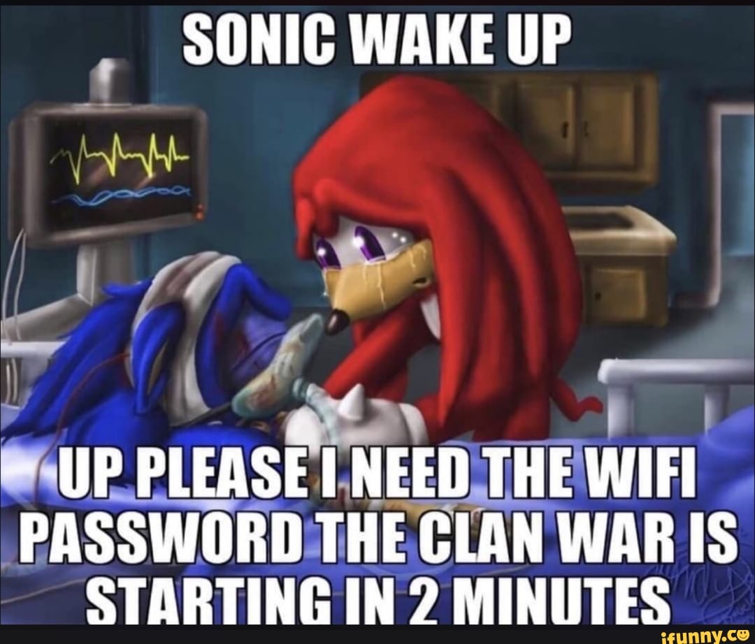 Please died. Соник пожалуйста. Sonic please WIFI password. Соник вейк. Sonic died.