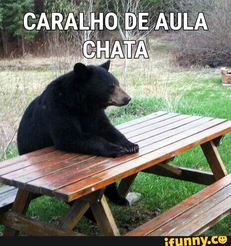 CARALHO DE AULA