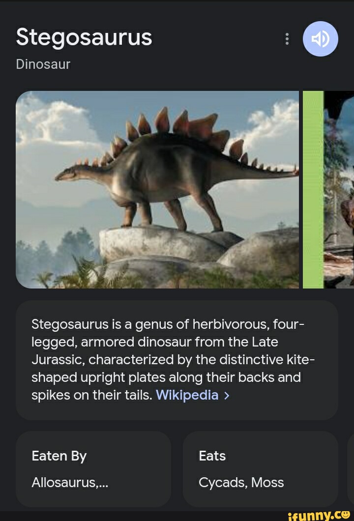 Stegosaurus Dinosaur Stegosaurus Is A Genus Of Herbivorous, Four 