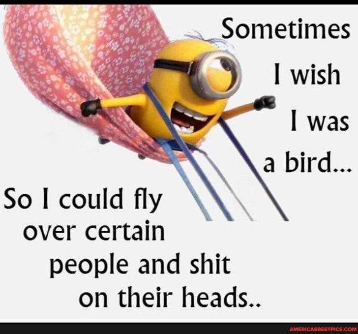 Sometimes
wish
was a bird...
So could fly
over certain people and shit
on their heads..