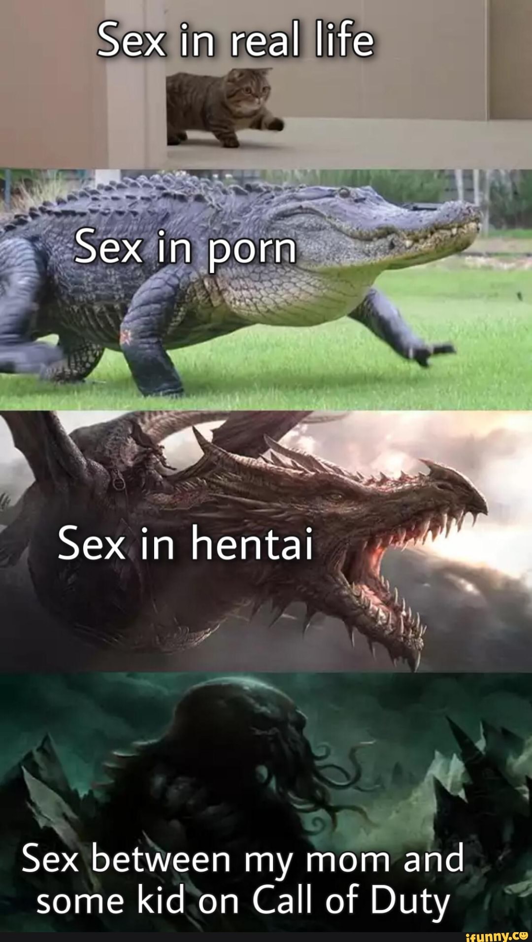 Sex in real life Sex in porn Sex in hentai Sex between my mom and some kid  on Call of Duty - iFunny