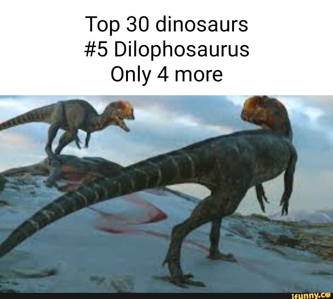 Dilophosaurus memes. Best Collection of funny Dilophosaurus pictures on ...