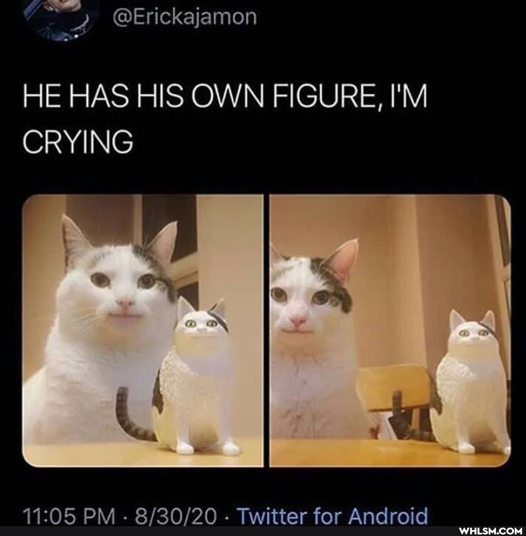 HE HAS HIS OWN FIGURE, I'M CRYING
MAA