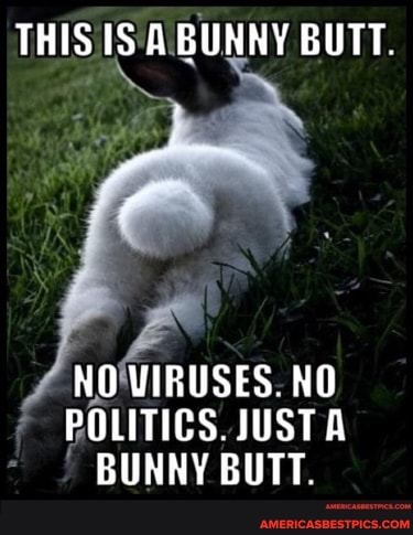 THIS IS A BUNNY BUTT.
HO VIRUSES. NO POLITICS. JUST A BUNNY BUTT