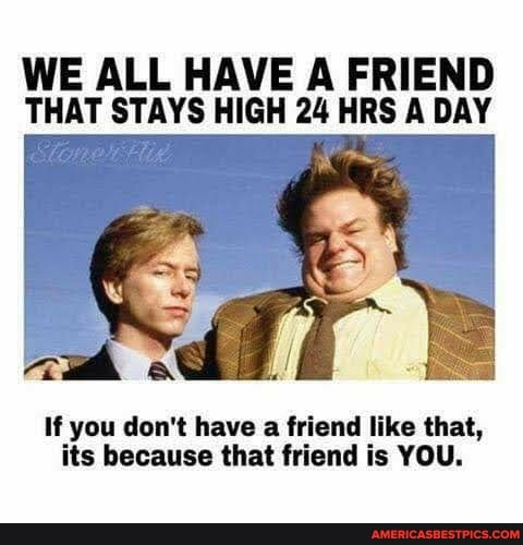 WE ALL HAVE A FRIEND THAT STAYS HIGH 24 HRS A DAY
If you don't have a friend like that, its because that friend is YOU.