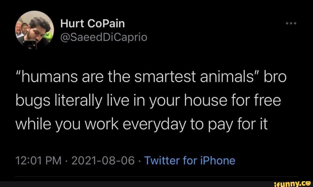 Memes - "humans are the smartest animals" bro bugs literally live in