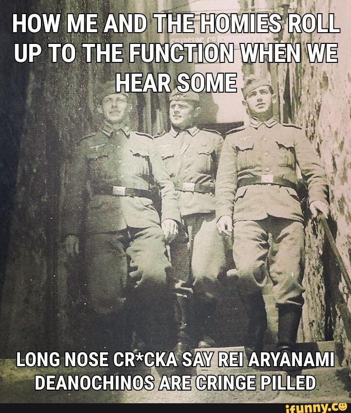 HOW ME AND THE HOMIES ROLL UP TO THE FUNCTION WHEN WE HEAR SOME
LONG NOSE CR*CKA SAY REI ARYANAMI DEANOCHINOS ARE CRINGE PILLED