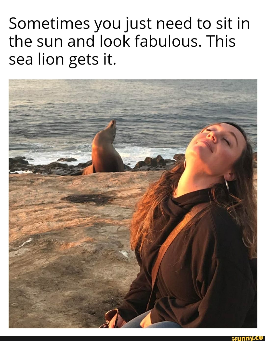 Sometimes you just need to sit in the sun and look fabulous. This sea lion gets it.