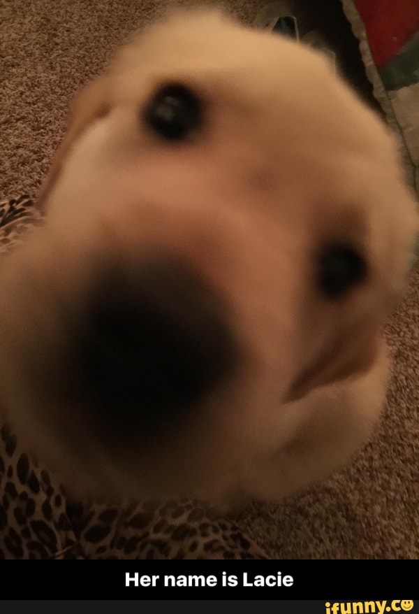 Her name is Lacie - Her name is Lacie