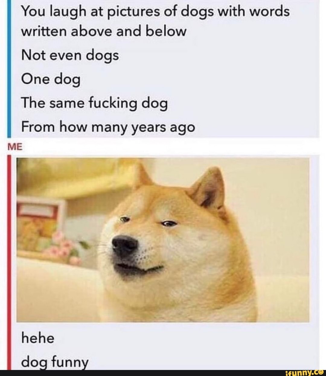 You laugh at pictures of dogs with words written above and below
Not even dogs
One dog
The same fucking dog
From how many years ago
hehe
dog funny