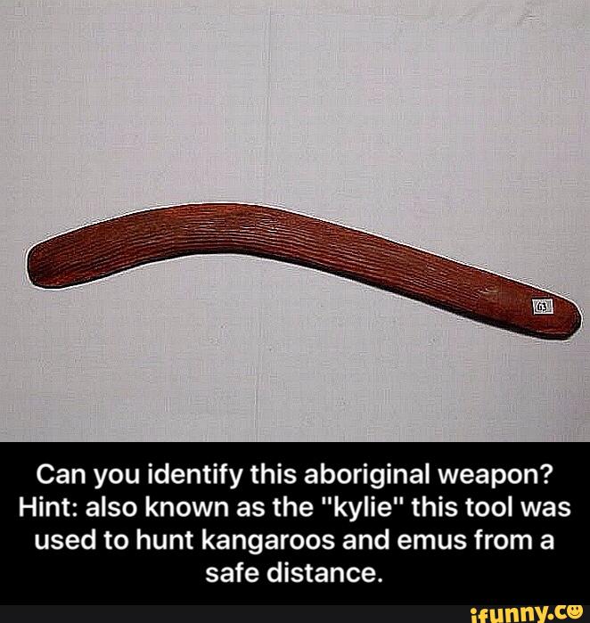 Can you identify this aboriginal weapon?
Hint: also known as the "kylie" this tool was
used to hunt kangaroos and emus from a
safe distance. - Can you identify this aboriginal weapon? Hint: also known as the "kylie" this tool was used to hunt kangaroos and emus from a safe distance.